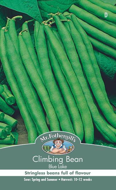 Seeds D Climbing Bean Blue Lake