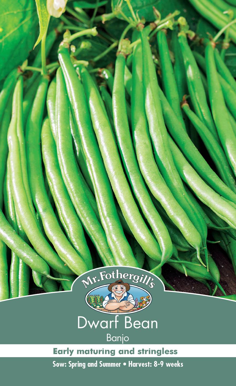 Seeds D Dwarf Bean Banjo