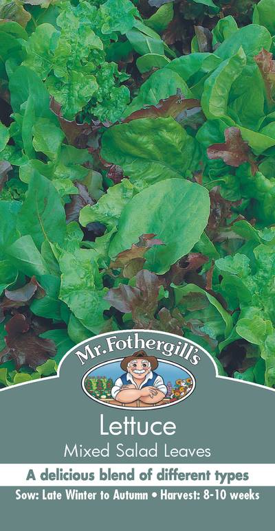 Seeds B Lettuce Mixed Salad Leaves