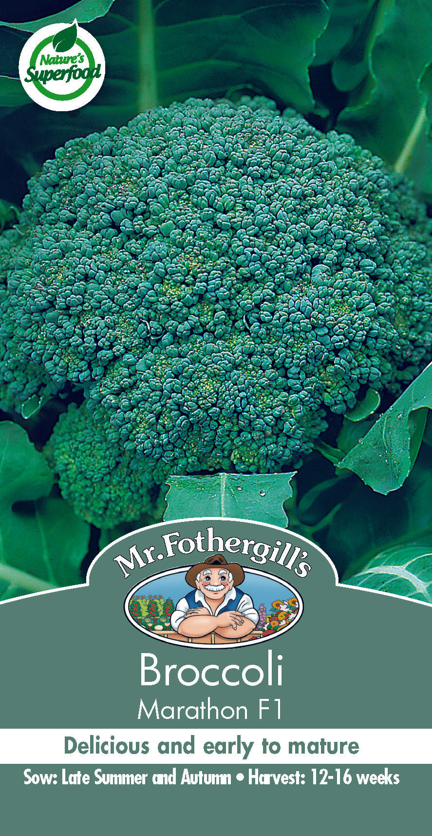 Seeds C Broccoli Marathon