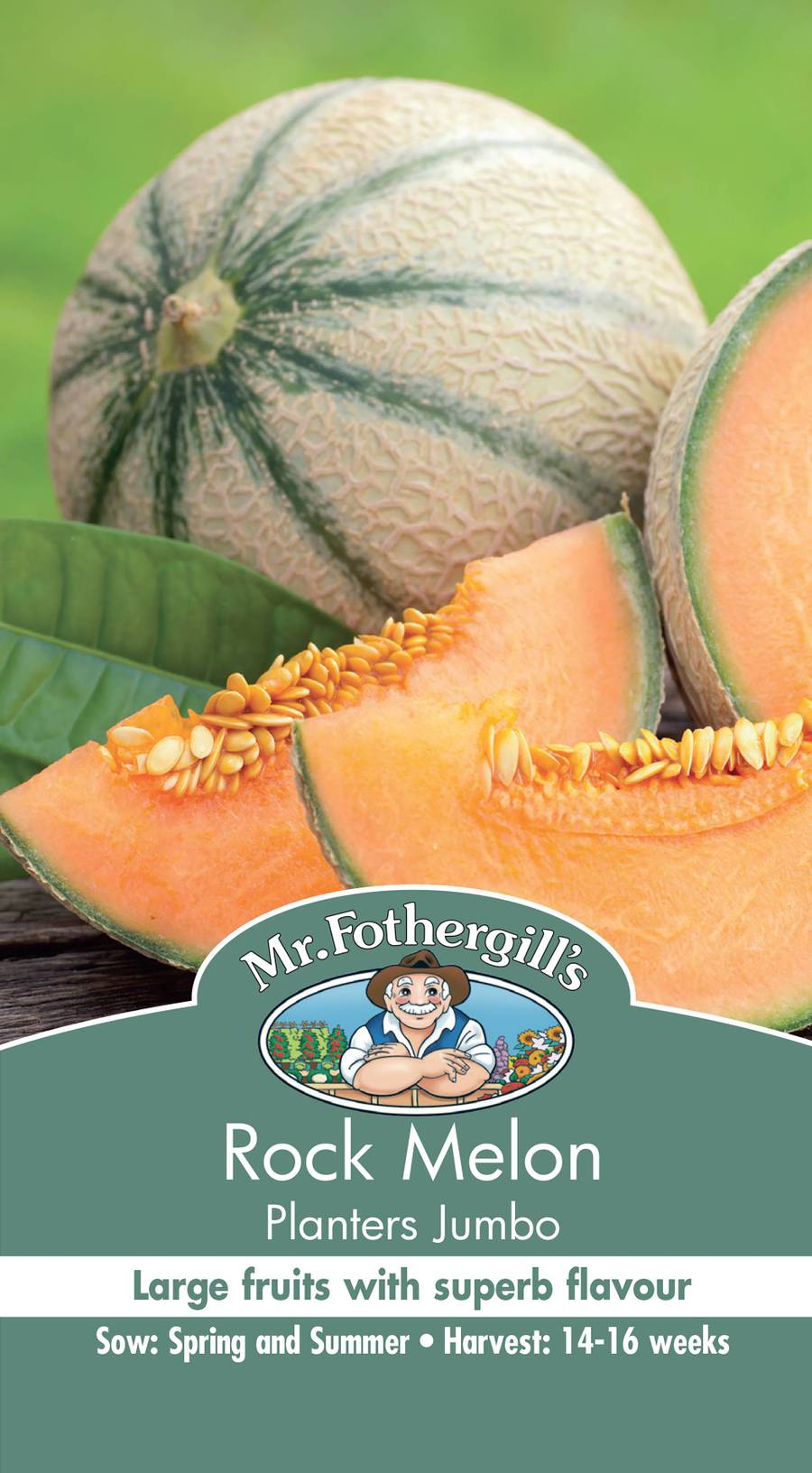 Seeds D Rock Melon Planters Jumbo