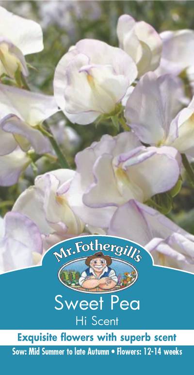 Seeds C Sweet Pea Hi Scent