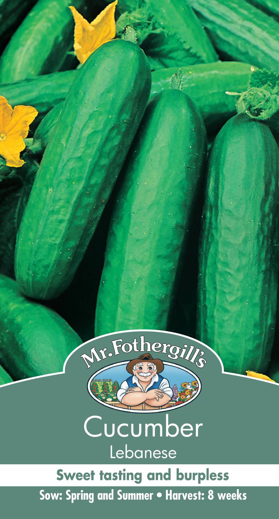 Seeds D Cucumber Lebanese