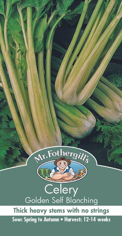 Seeds A Celery Golden Self Branching