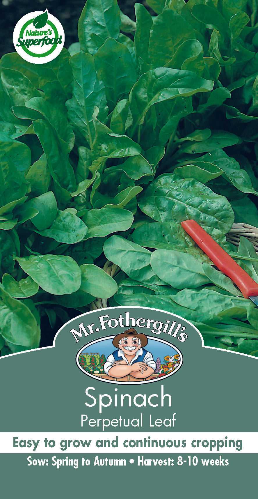 Seeds A Spinach Perpetual Leaf