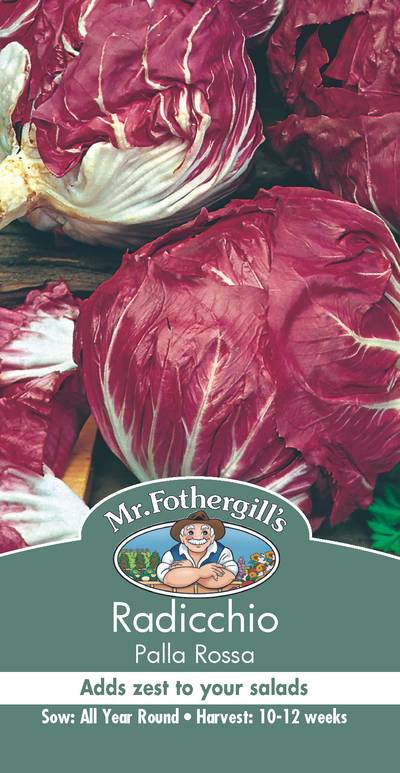 Seeds A Radicchio Palla Rossa