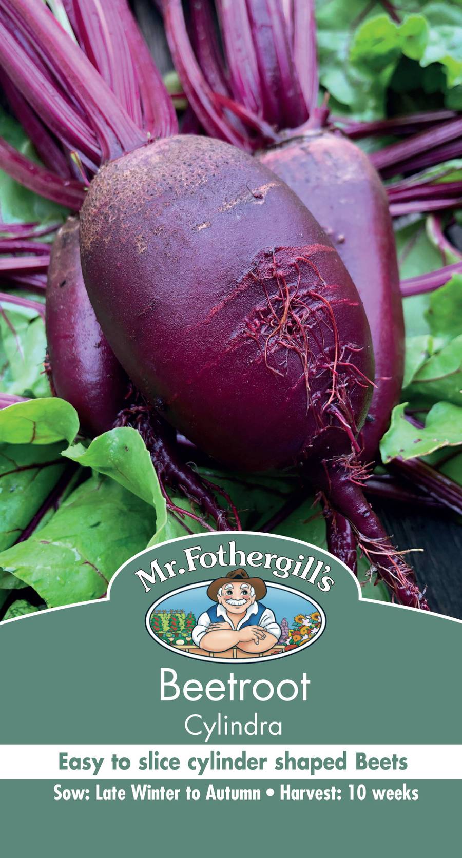 Seeds C Beetroot Cylindra