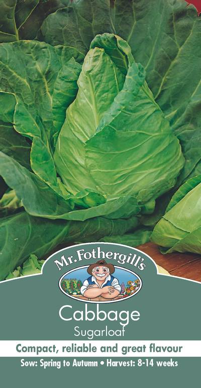 Seeds B Cabbage Sugarloaf