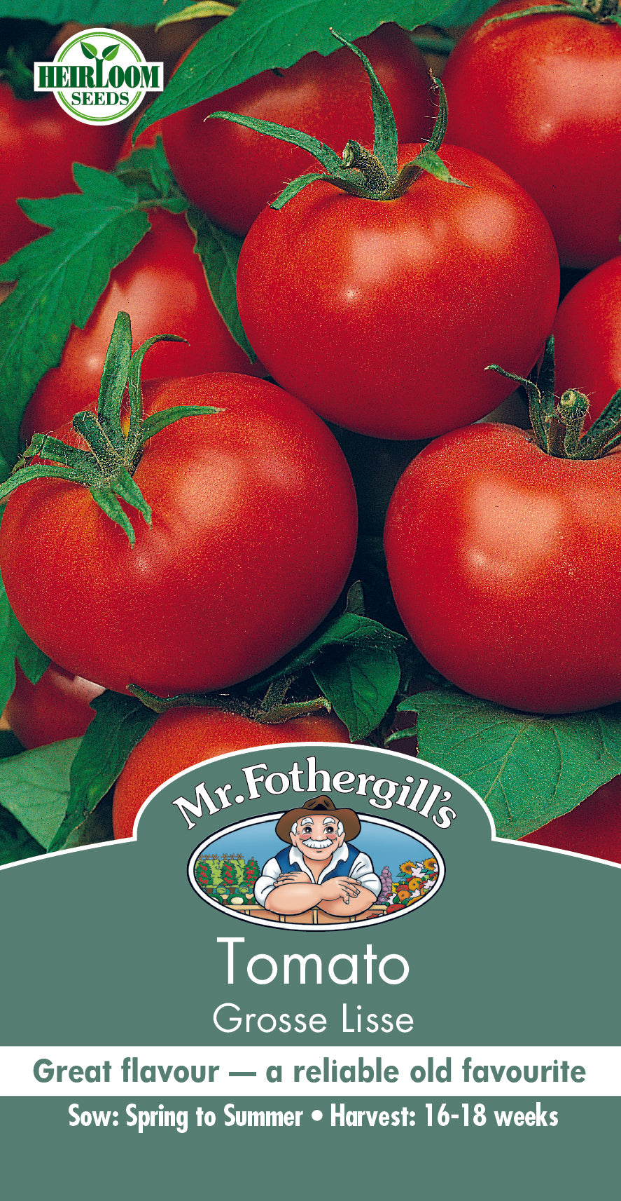 Seeds A Tomato Grosse Lisse