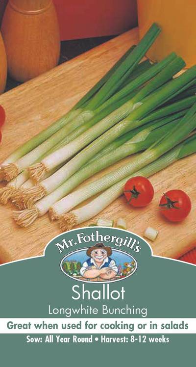 Seeds A Shallot Longwhite Bunch