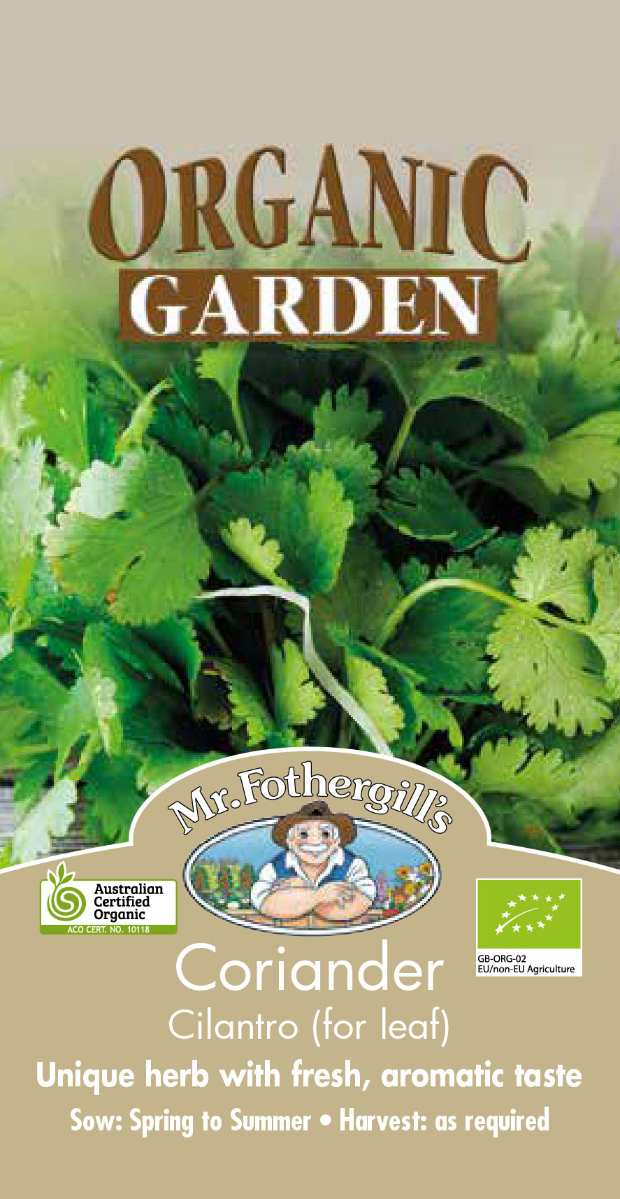 Seeds D Coriander For Leaf Organic