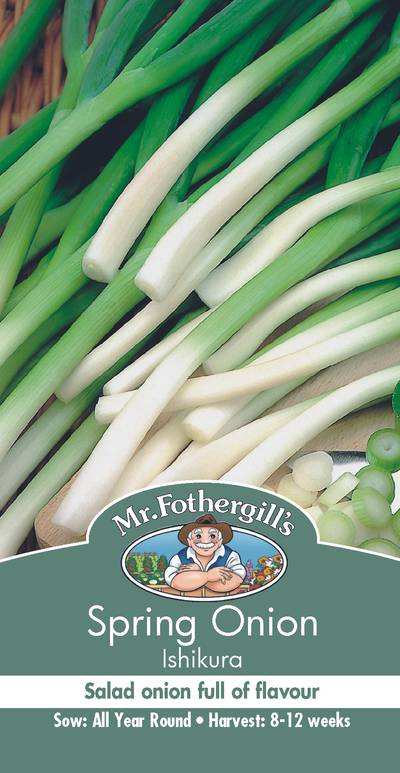 Seeds D Spring Onion Bunching Ishikura