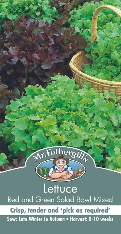 Seeds B Lettuce Red Green Salad Bowl