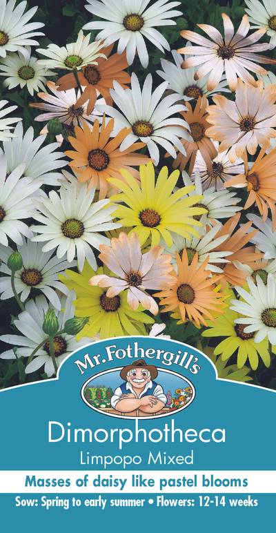 Seeds B Dimorphotheca Limpopo Mixed