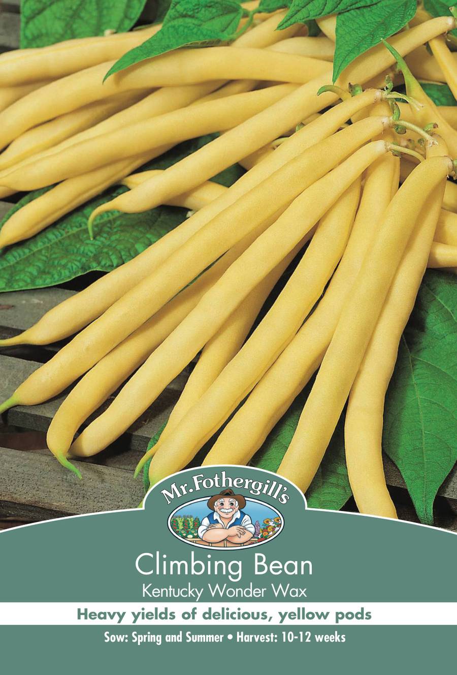 Seeds C Climbing Bean Kentucky Wonder Wax