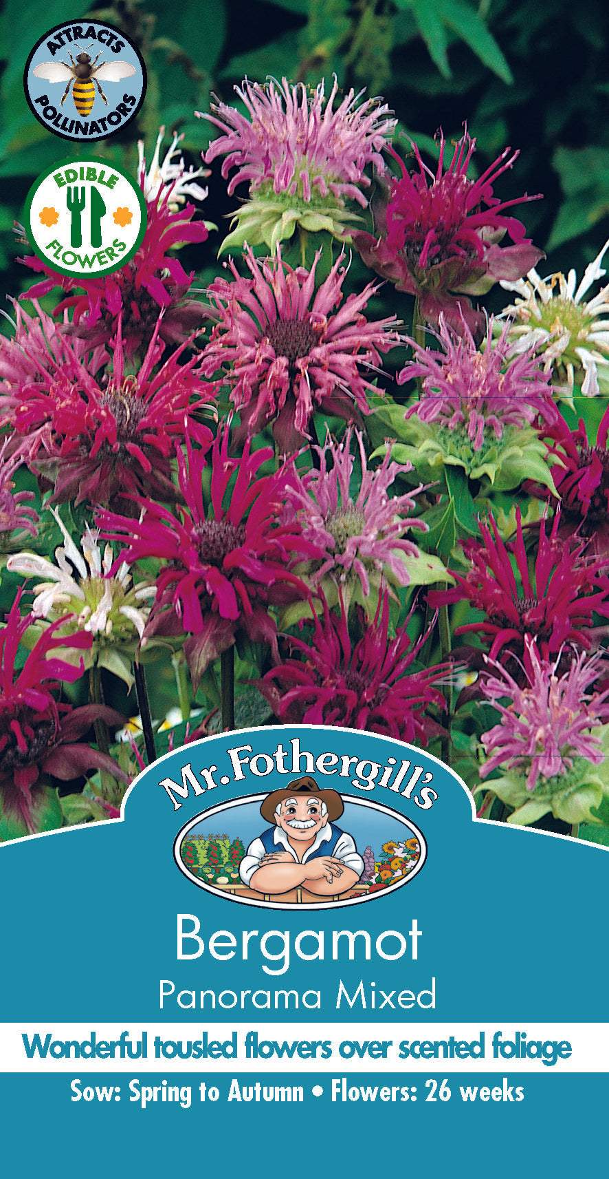 Seeds B Bergamot Panorama