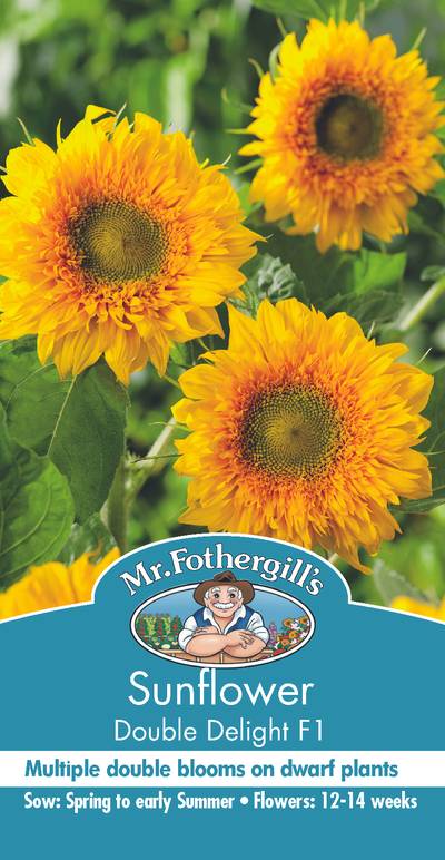 Seeds C Sunflower Double Delight