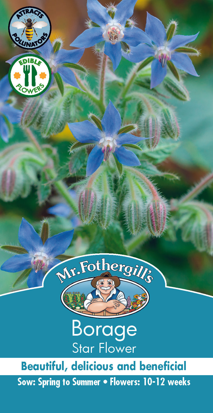 Seeds B Borage
