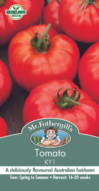 Seeds D Tomato Ky1 Heirloom