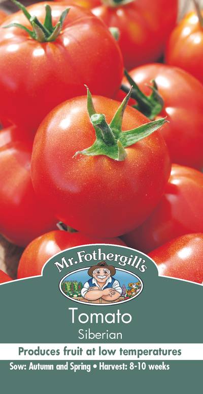 Seeds C Tomato Siberian