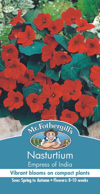 Seeds B Nasturtium Empress Of India