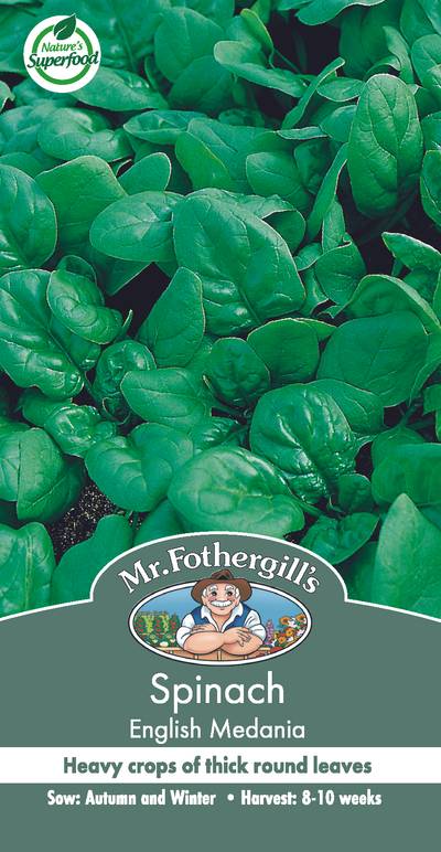Seeds A Spinach English Medania