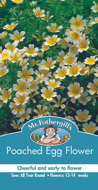 Seeds B Poached Egg Flower