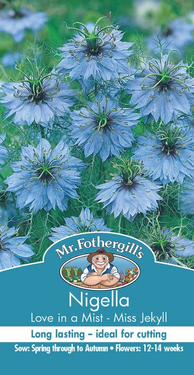 Seeds D Nigella Love In A Mist