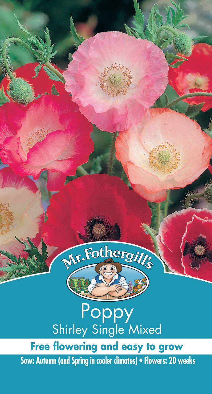 Seeds A Poppy Shirley Mixed