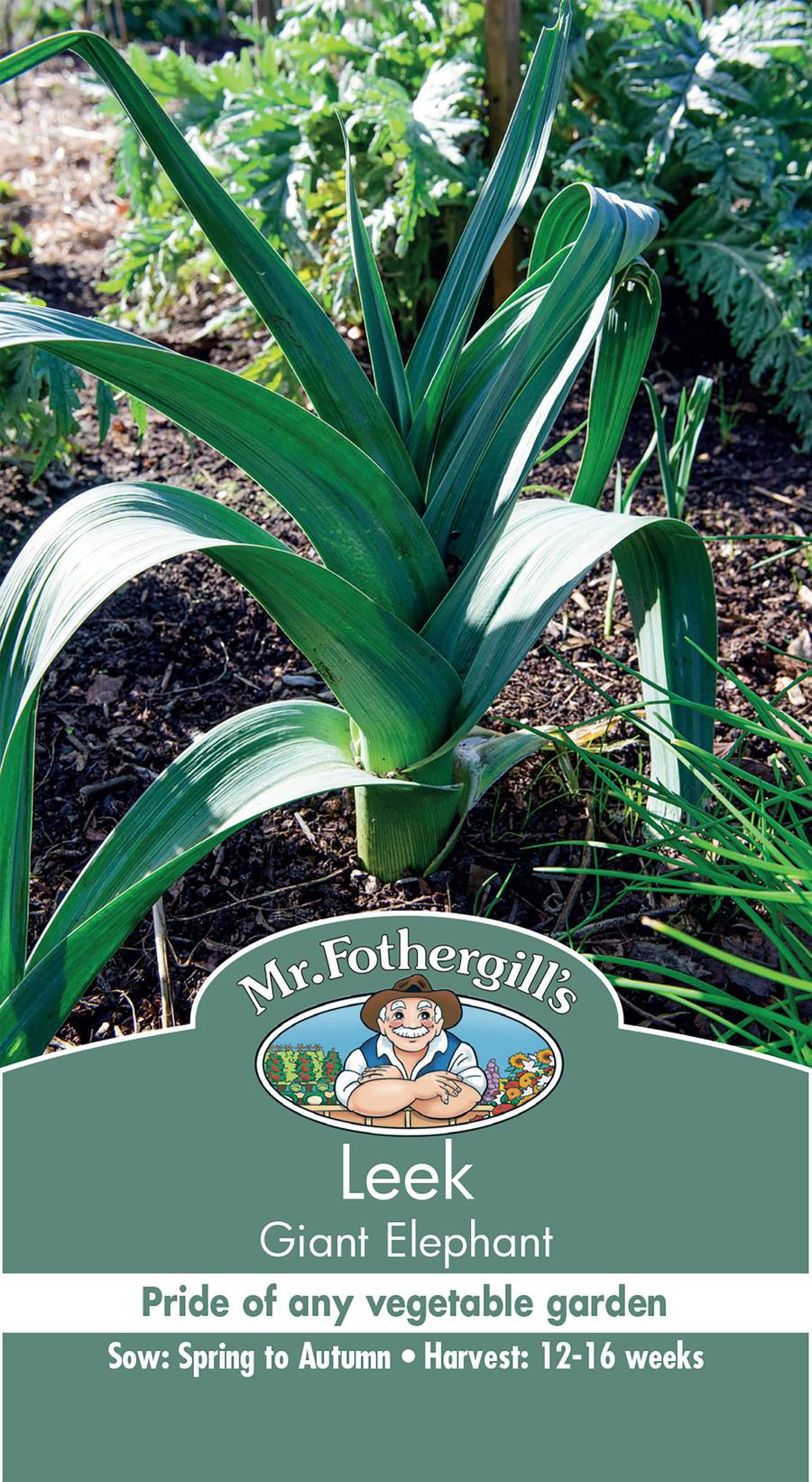 Seeds C Leek Elephant