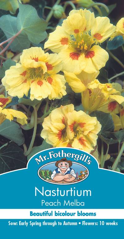 Seeds D Nasturtium Peach Melba