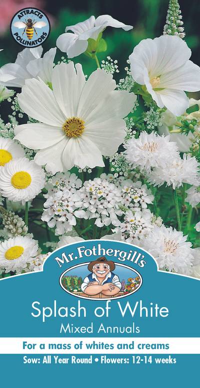 Seeds D Splash Of White