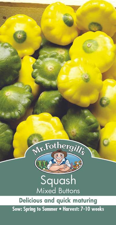 Seeds C Squash Mixed Buttons