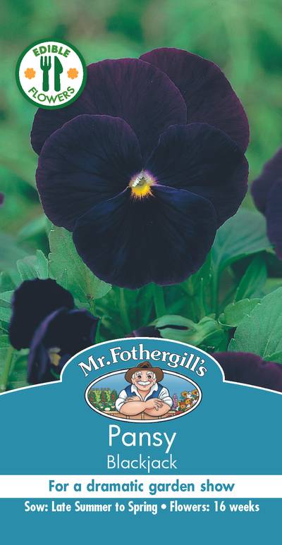 Seeds D Pansy Blackjack