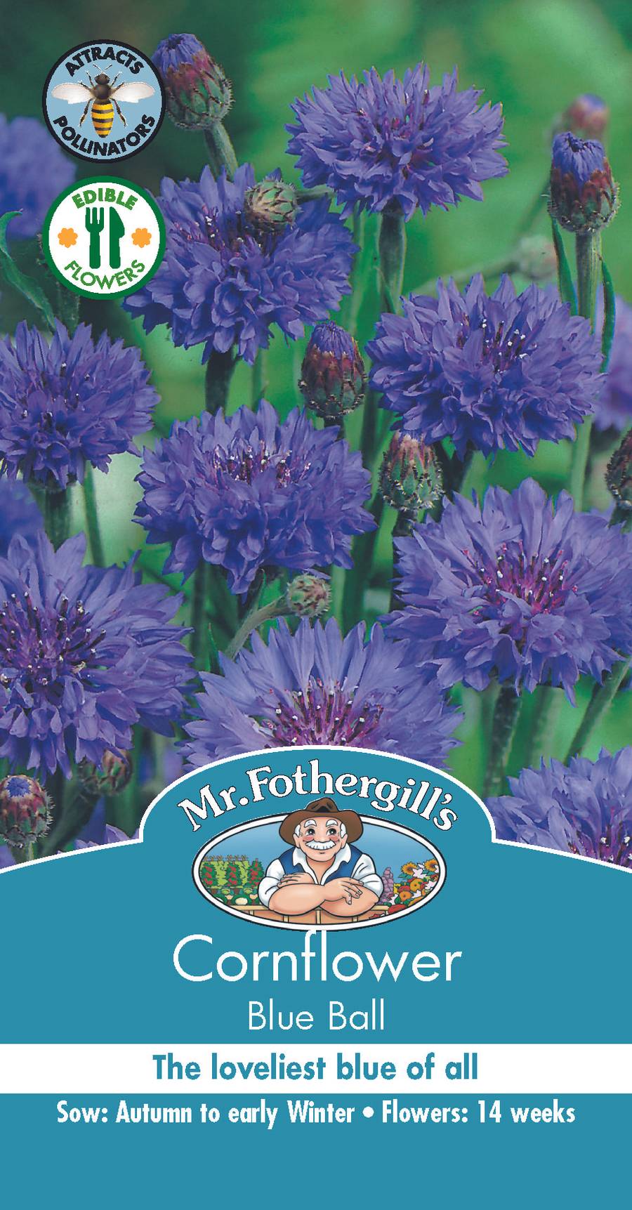 Mr Fothergill's - Cornflower Blue Ball Seeds