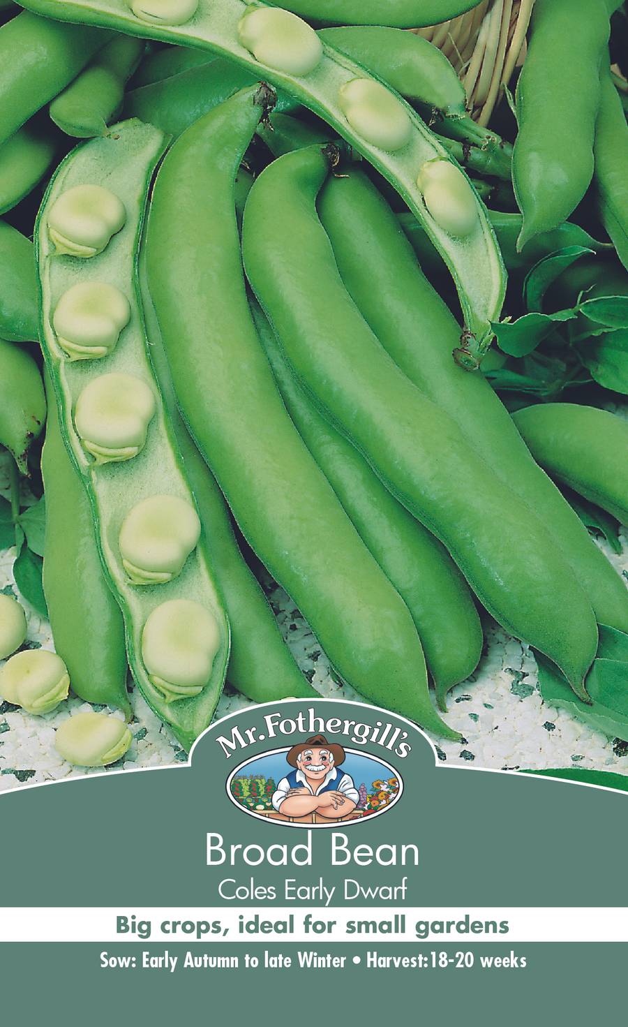 Seeds D Broad Bean Coles Early Dwarf