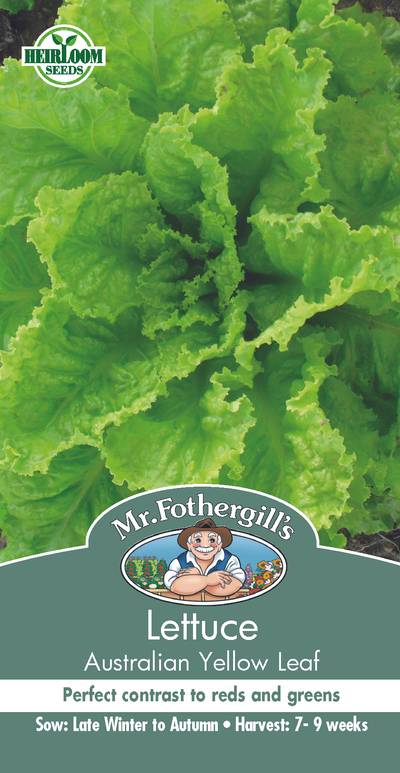 Seeds D Lettuce Aust Yellow Leaf Heirloom