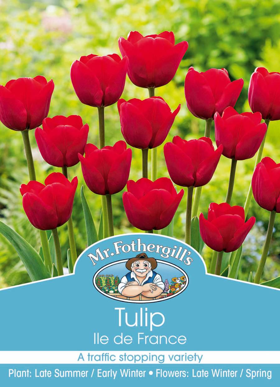 Mr Fothergill's - Tulip Ile De France Bulbs