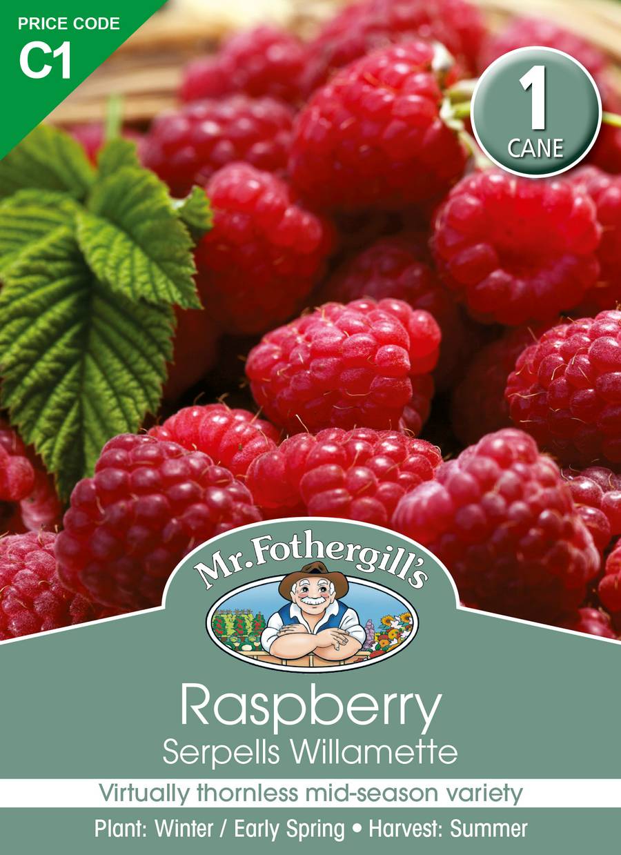 Mr Fothergill's - Raspberry Serpells Willamette Canes - 2 Canes