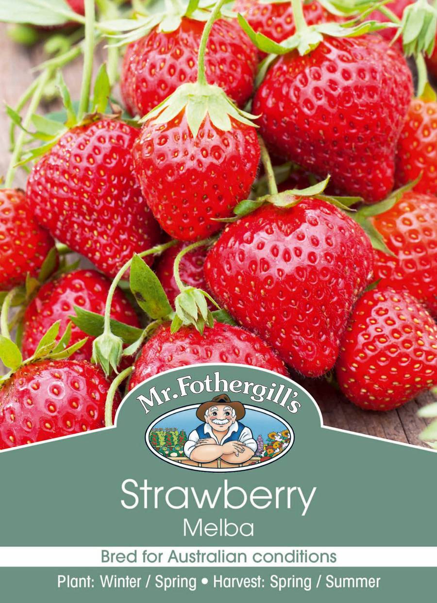 Mr Fothergill's - Strawberry Melba Crowns - 4 Crowns
