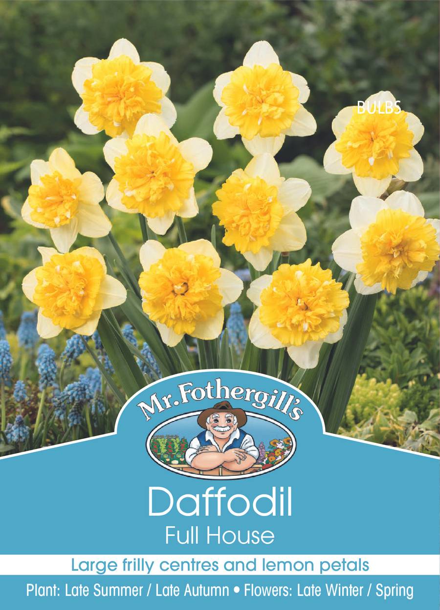 Mr Fothergill's - Daffodil Full House Bulbs