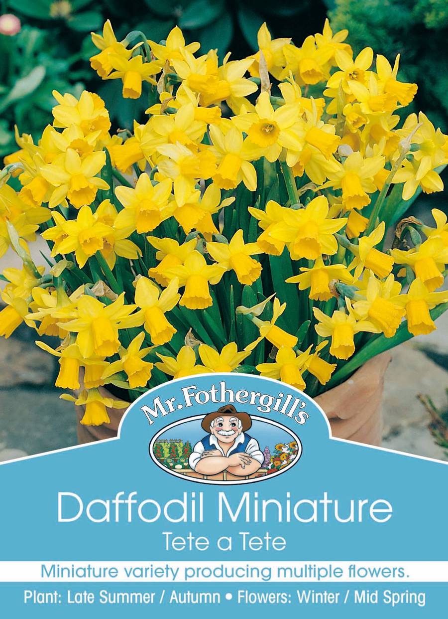 Mr Fothergill's - Daffodil Tete B Tete Bulbs