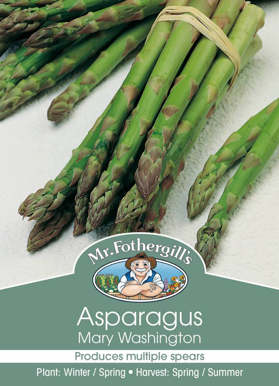 Mr Fothergill's - Asparagus Mary Washington Crowns - 2 Crowns