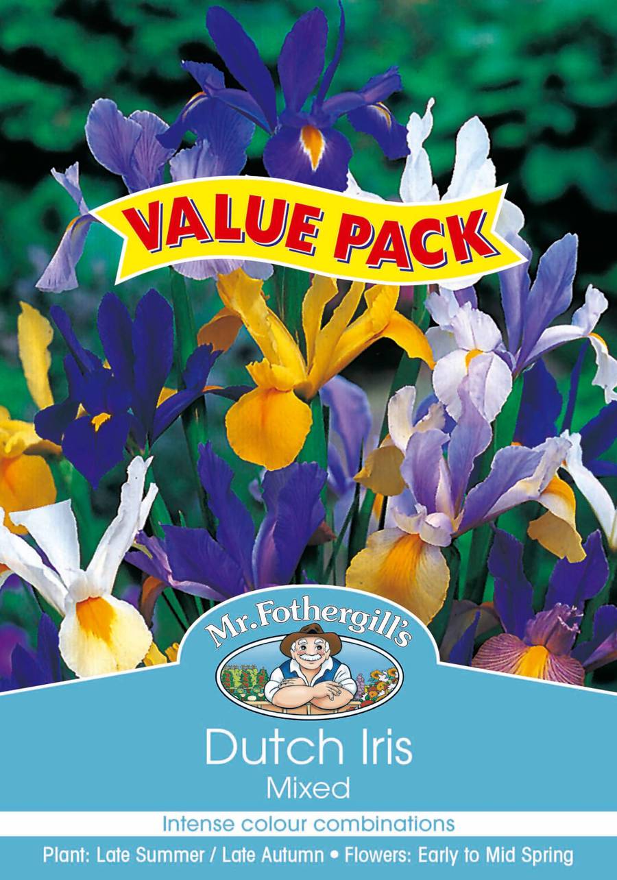 Mr Fothergill's - Dutch Iris Mixed Bulbs Value-Pack