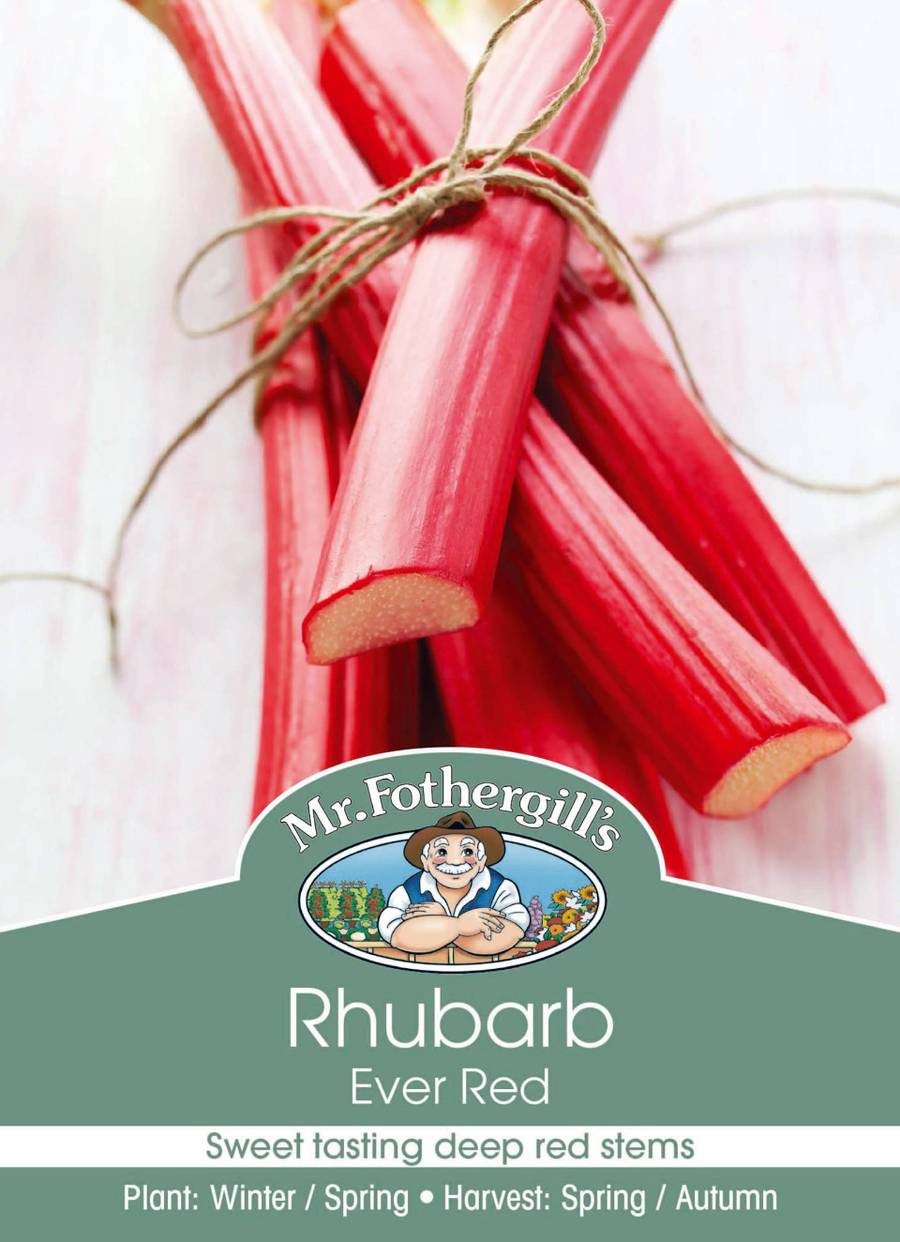 Mr Fothergill's - Rhubarb Ever Red Crown - 1 Crown