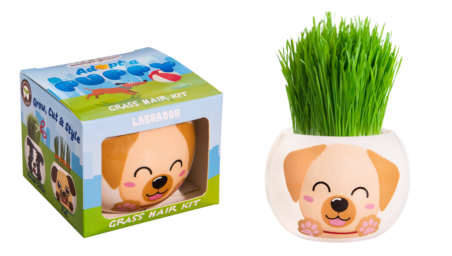 Grass Hair Kit - Puppy Labrador