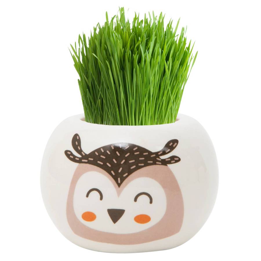 Grass Hair Kit - Wild Adventure Owl