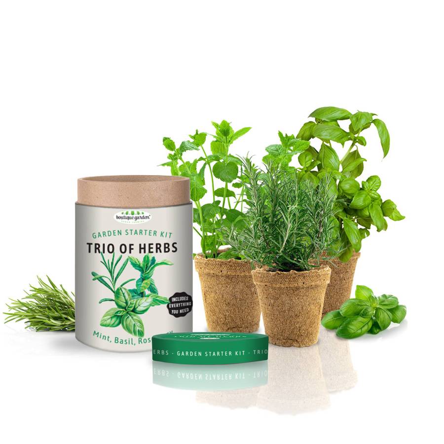Garden Starter Canister Trio Of Herbs