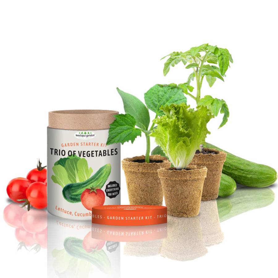 Garden Starter Canister - Trio of Vegetables