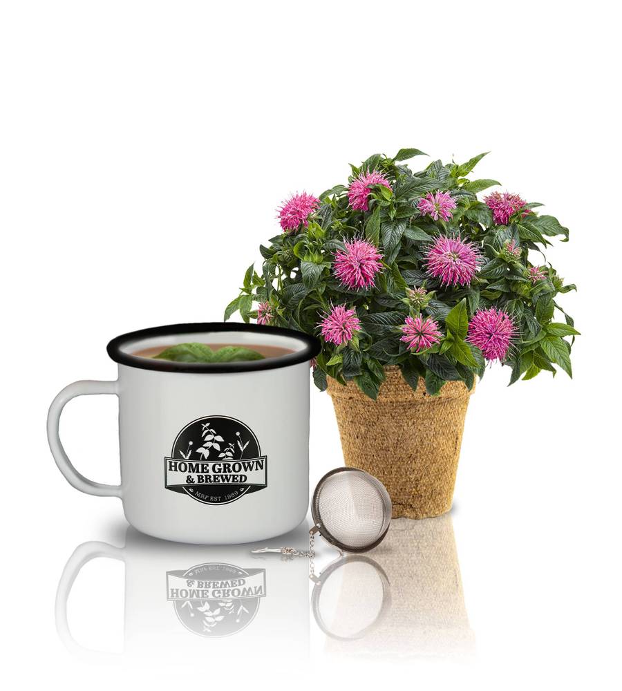 Tea Mug Kit Bergamot Earl Grey